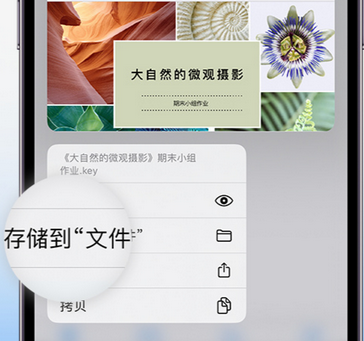 集安apple维修中心分享iPhone文件应用中存储和找到下载文件