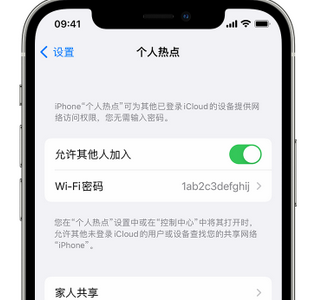 集安apple服务站点分享iPhone上个人热点丢失了怎么办 