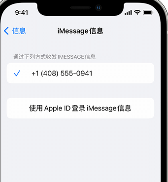 集安apple维修iPhone上无法正常发送iMessage信息 