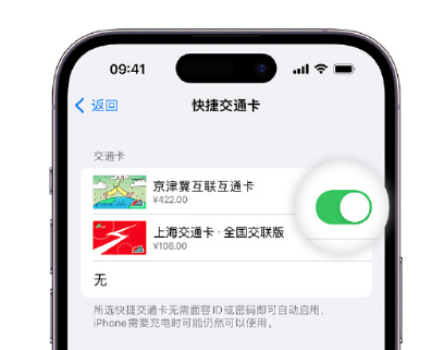 集安apple维修点分享iPhone上更换Apple Pay快捷交通卡手绘卡面 