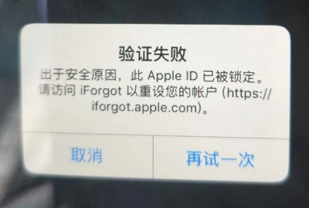 集安iPhone维修分享iPhone上正常登录或使用AppleID怎么办 