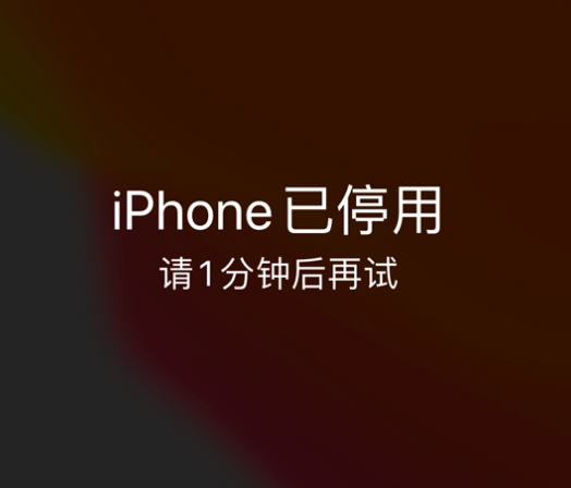 集安苹果手机维修分享:iPhone 显示“不可用”或“已停用”怎么办？还能保留数据吗？ 