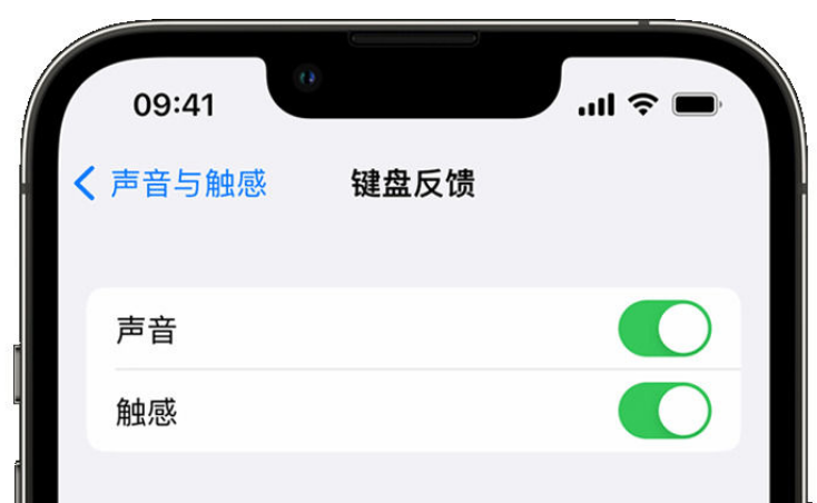 集安苹果手机维修分享iPhone 14触感键盘使用方法 