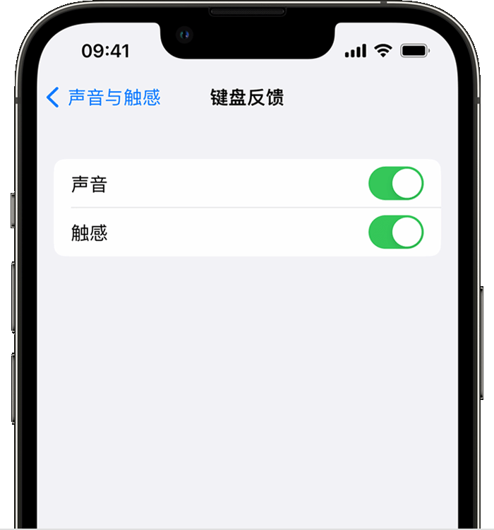 集安苹果14维修店分享如何在 iPhone 14 机型中使用触感键盘 