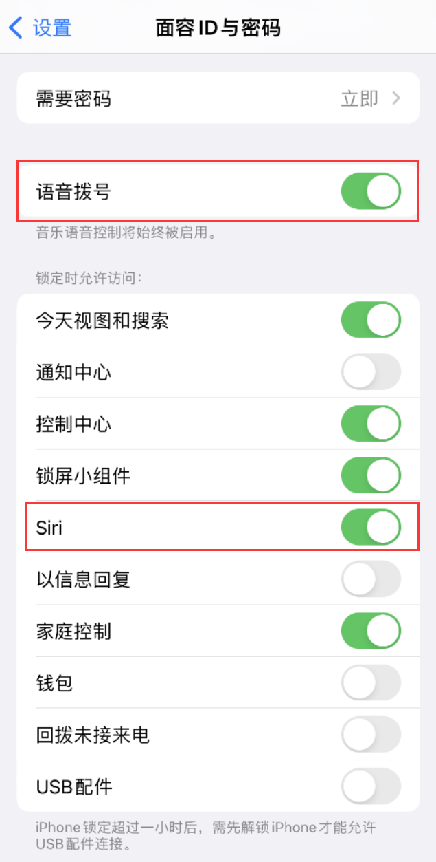 集安苹果维修网点分享不解锁 iPhone 的情况下通过 Siri 拨打电话的方法 