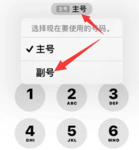 集安苹果14维修店分享iPhone 14 Pro Max使用副卡打电话的方法 