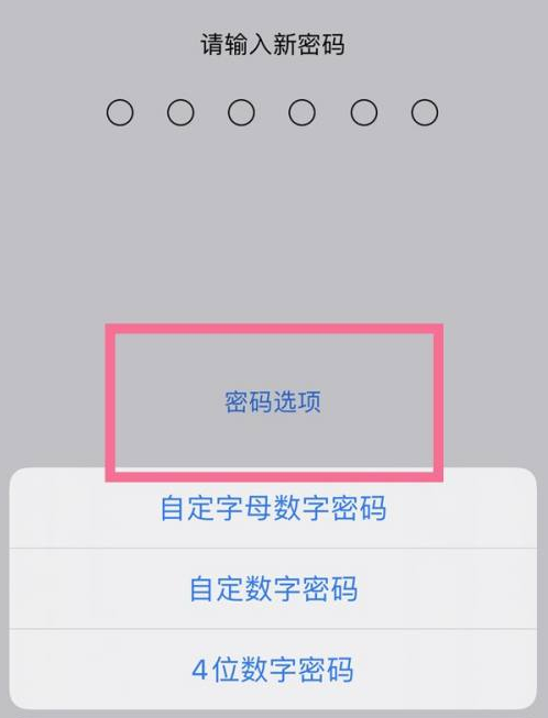 集安苹果14维修分享iPhone 14plus设置密码的方法 