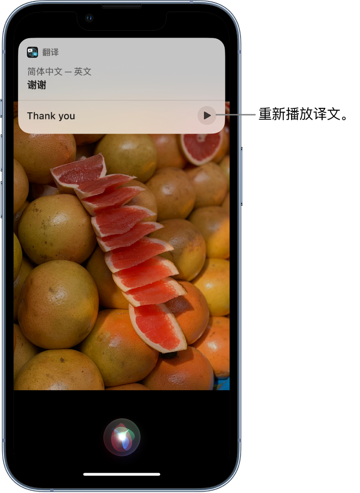 集安苹果14维修分享 iPhone 14 机型中使用 Siri：了解 Siri 能帮你做什么 