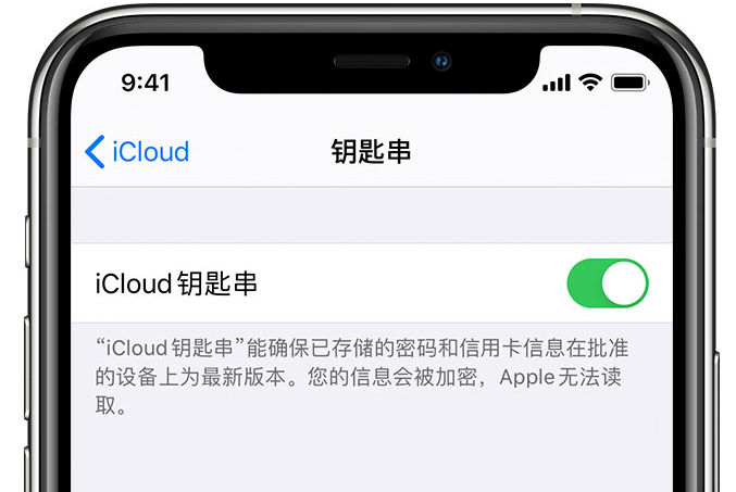 集安苹果手机维修分享在 iPhone 上开启 iCloud 钥匙串之后会储存哪些信息 