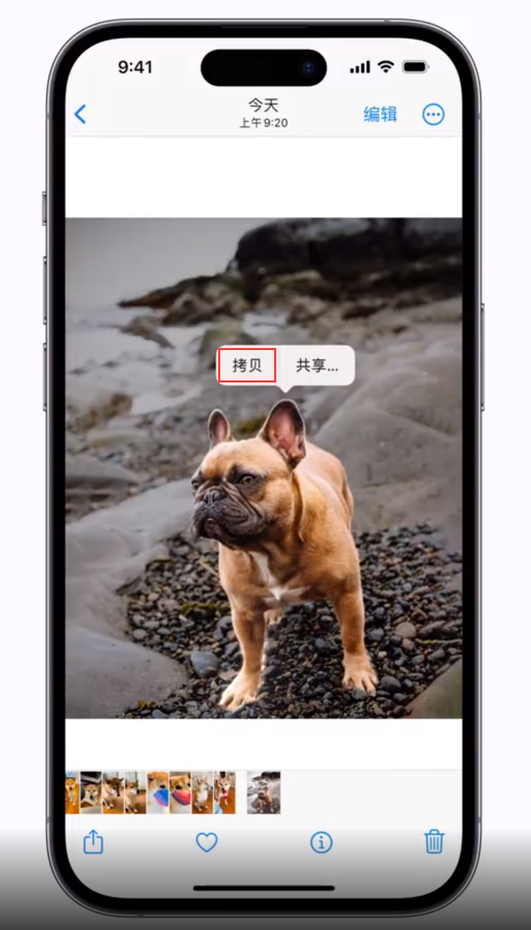 集安苹果手机维修分享 iOS 16 自带一键抠图功能 