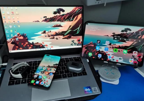 集安苹果手机维修分享为什么iPad屏幕更大价格却比iPhone低 