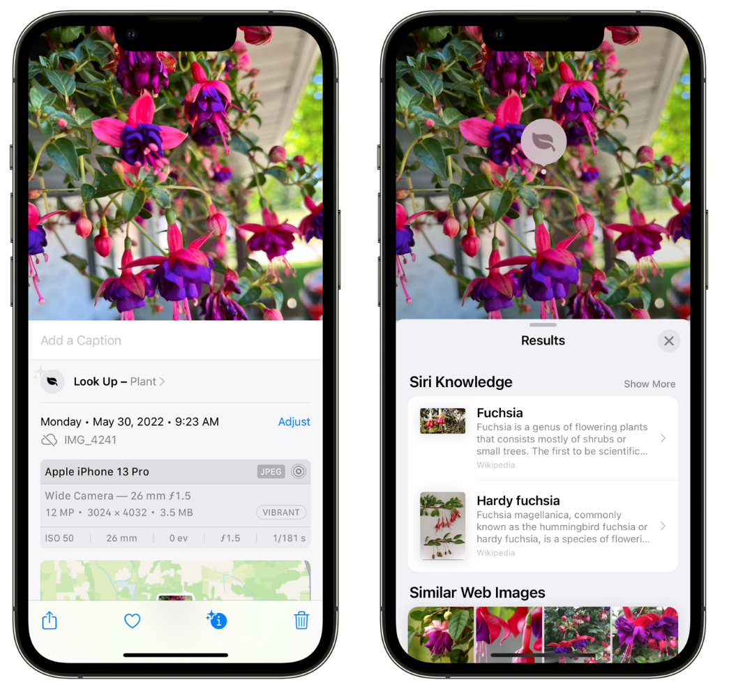 集安苹果手机维修分享小技巧：使用 iPhone 相机识别花卉植物 