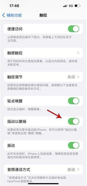 集安苹果手机维修分享iPhone手机如何设置摇一摇删除文字 