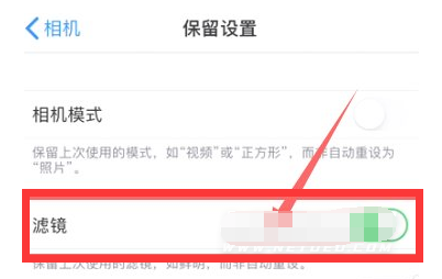 集安苹果13维修分享iPhone13拍照有绿点是怎么回事 