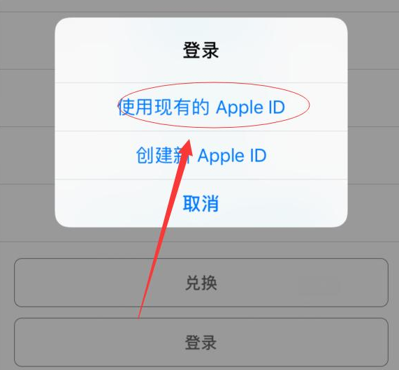 集安苹果手机维修分享两台iPhone设备可以同时登录一个Apple ID吗 