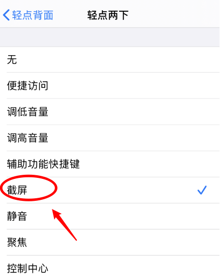 集安苹果手机维修分享iPhone12如何启用双击截屏 