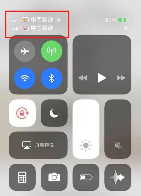 集安苹果手机维修分享为 iPhone 12 双卡设置标签 