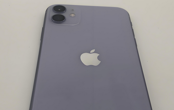 集安苹果11系统维修分享iPhone11手机系统崩溃无法开机如何解决 